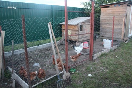 ��� �� 8 ��� ���������� ��� �� ��������� �������� ���������������� ������