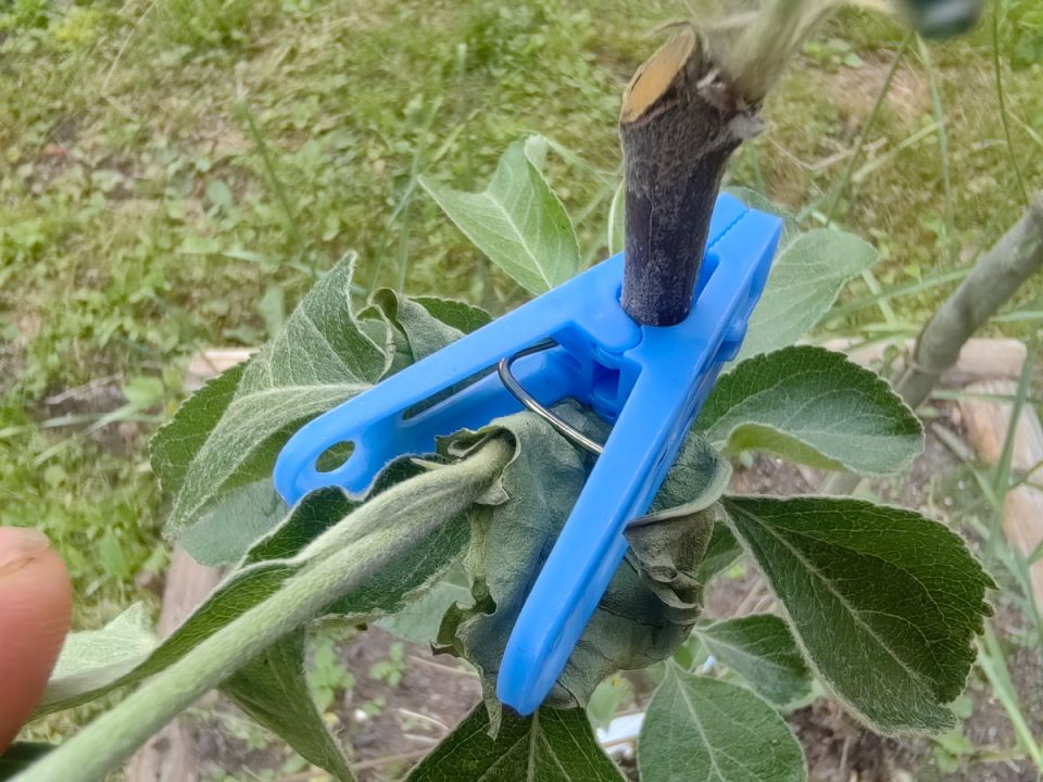 �������� ���������� ���� ��� �������� ������