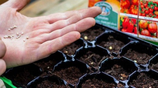 ����������� ����� ������ �����: ��� ��������� ��������� ������� � 2026 ����