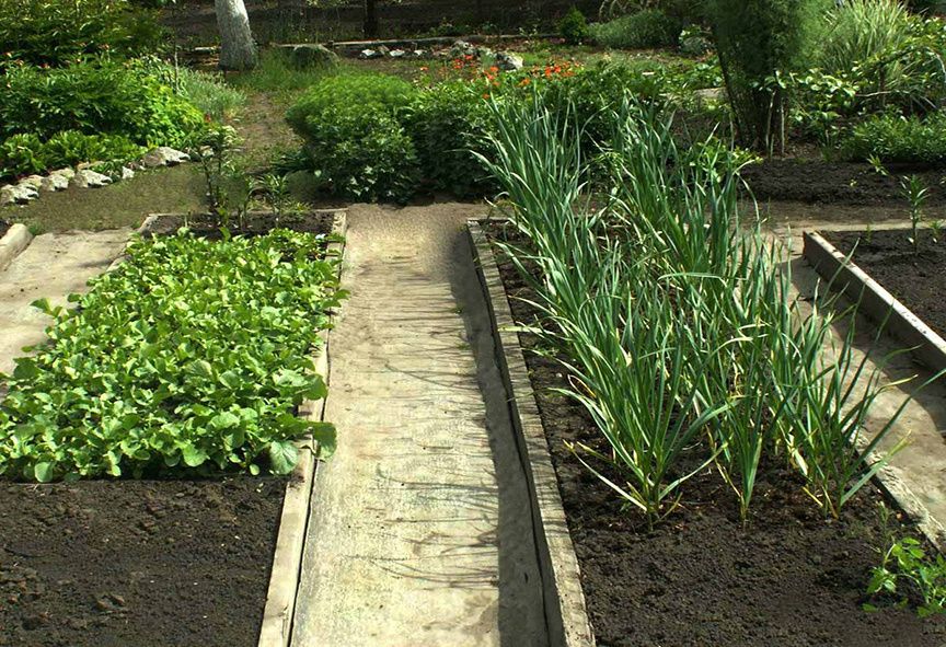 ��� ����������� ������ � �������� ��������: ������� �����������