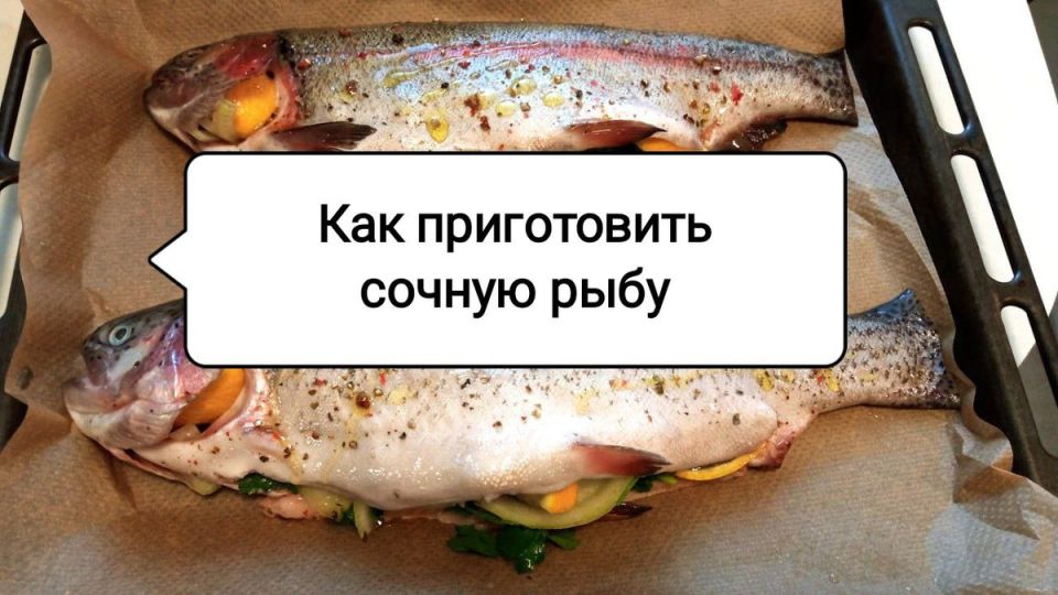 ��� �������� ��������� ���������� ����: ������ ������� ���-�������