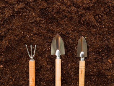 ��� ������� ��������� ����� ������� ��� �������� ������ �� 50%?