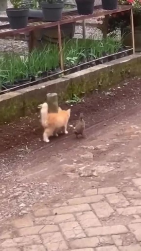 ���� ��������� �������� �� �����, ����� ������ � ������ ���� ����� �������� ��� ���������