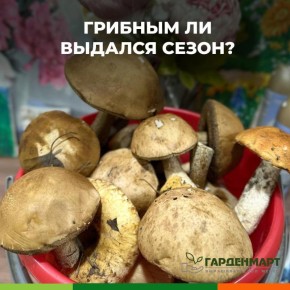 ����� �����: ��� �������� ����� � ���� ������?