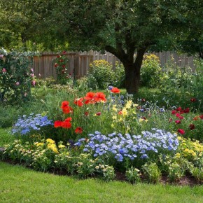 ������� �������: ��������� �������� ����� �������� �� �������