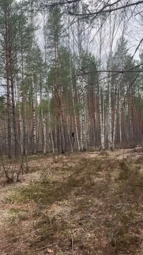 ������� � ������������� ����� �������� ����� � ������� ���������� ������������