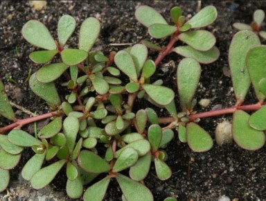 ��������: ��������� ������, ������� ����� ����� ��������� � �����