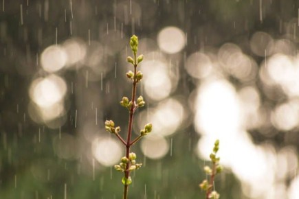 ������, �� ��������� ������� ���� ������������