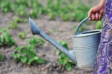 ���������� ������ ��� ������: ��� ��������� �������� � ����