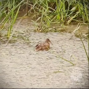 ������������ ������������ � ������� ������