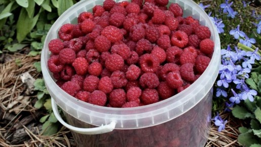 ������� ��������� ��������� �������� ����� ���������� �������