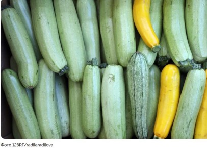 ������� ������������� �������� ��������: ��� ��������� ������ ������ �� ����