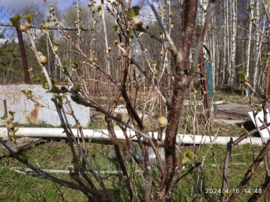 ��� �������� ������ ��������� �� ��������� �����: ����������� ������ � ������