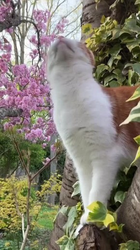 ������ ����, ������� ����������!