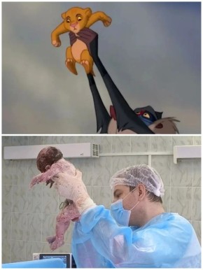 ��������, ����� ����� �������� ��������� � ������������� ������ ��������� �������� �40 � ������