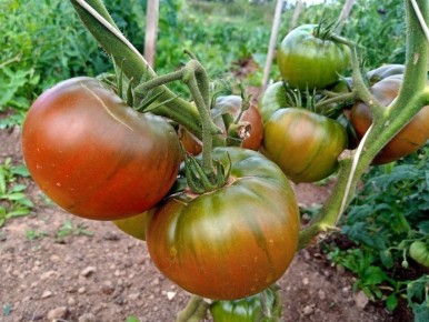 ����� ������: ��������� ���� � �������� �������� � �������