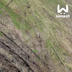 ����� ������������ ������ � ���������� ������������ ������