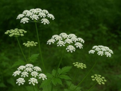 ������� ����� � ������: ��� ��������� ������� � �������� ��������� ������