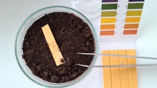 ������ �� ������������� ���� ��� ���������: 4 �������� ������� � ���������������� ������