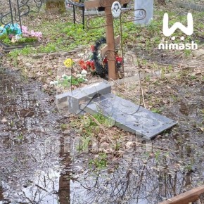 ����-����������� �������� �� ���������� ������������ � ������ ��-�� ��������