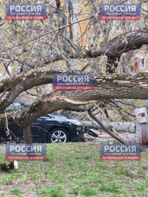 � ������ ��������� ����� ������ ��� ���� ������ �� ����������