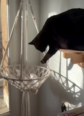 �������� ���������� ����� 3 �������, �� ����� ���� ����� ���������