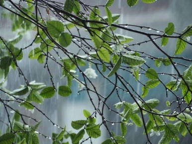 ����������� � ���� ���������