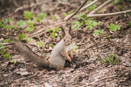 � ����� � ����� ����������� ����� ��������� ��������, ����� ��� �������� ����� � ����� �� ����� � �����