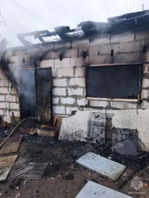 ������ �����-��� ������� ��� ������ �� ���������� �������� ���� � ������ ���������