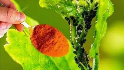 ��� ��� ���������: 10 ����������� ������������ ��� �������� ������ ������ ����