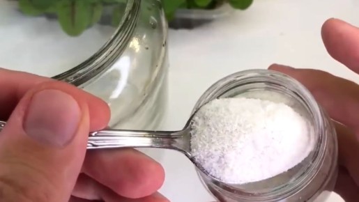 ��������� ������� ���������: ������ �������� ����� �������