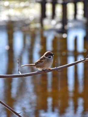 ������ �� ������� ������, ��� ��� ������ � ���