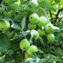 ��� ���������� ��������� ������ � ������ ����� ��������� ������� ������