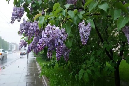 ������ ����, ������ ��������!