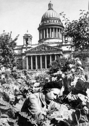 Сквозь лишения: блокадные огороды Ленинграда как символ надежды и выживания