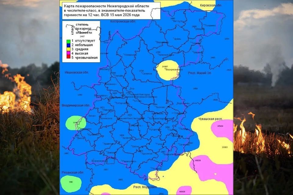В лесах Нижегородской области высокий класс пожарной опасности