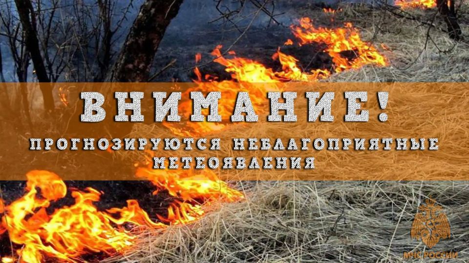 ВНИМАНИЕ!. С 20 по 25 мая в большинстве районов по Нижегородской области и г. Нижнему Новгороду ожидается высокая (4 класс) пожароопасность лесов и торфяников