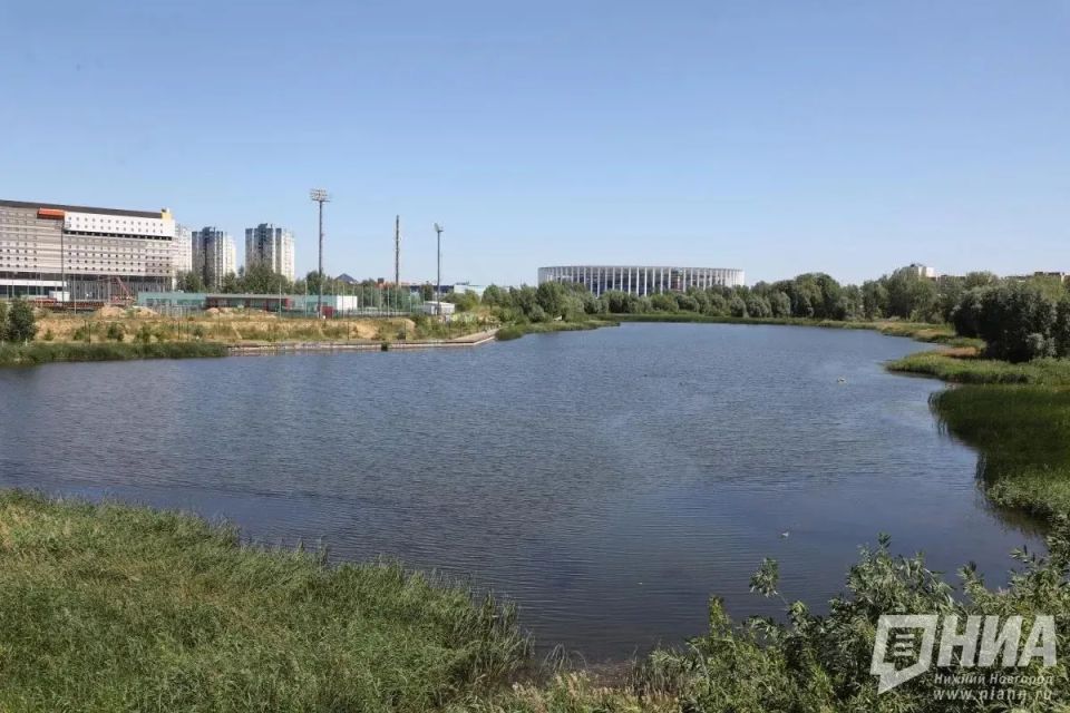 Нижегородцы больше не смогут купаться в Мещерском озере