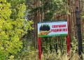 Аномально жаркая погода прогнозируется в Нижнем Новгороде
