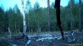 Ничего милее вы сегодня не увидите