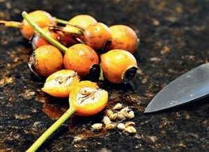 Как вырастить розы из семян: советы и секреты домашних садоводов