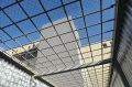 Нижегородский рецидивист Сергей Туркин убил сокамерника-маньяка в «Мордовской зоне» для пожизненно осужденных