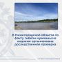 Следователем Уренского межрайонного следственного отдела следственного управления СК России по Нижегородской области по факту гибели на водоеме мужчины организована доследственная проверка