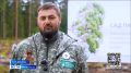 Посадки деревьев в рамках акции "Сад памяти" давно стали традицией для лесничеств Нижегородской области