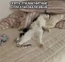 � ������ ���������� �������� ��������� ���� ��������� 4 ����� - ��� ��������� �� ������ 27 ����