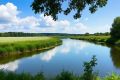 ������ ����, �����������!. ������� � ������ ���������...