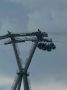 Сегодня в Нижнем Новгороде бушует ураганный ветер