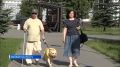 Родные не по крови, а по велению сердца