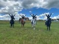 Спортсмены городского зооцентра «Надежда» вновь на пьедестале!