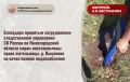 ��������� �������� ������������ ������������� ���������� �� ������ �� ������������� ������� ����� ������������� ����� ���������� �. �������� �� ������������ �������������